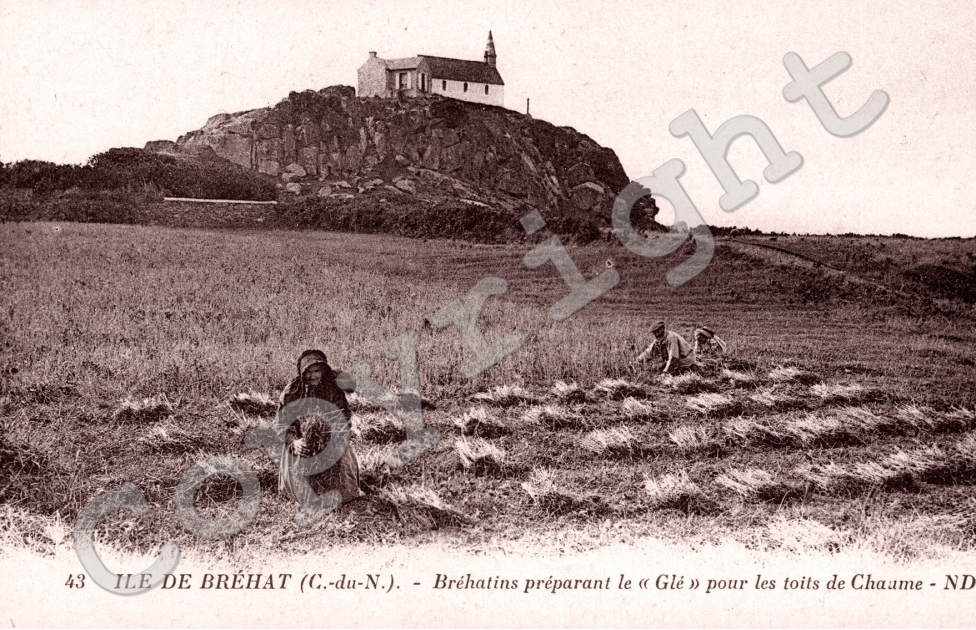 Brehatins preparant le Gle pour les toits de Chaume