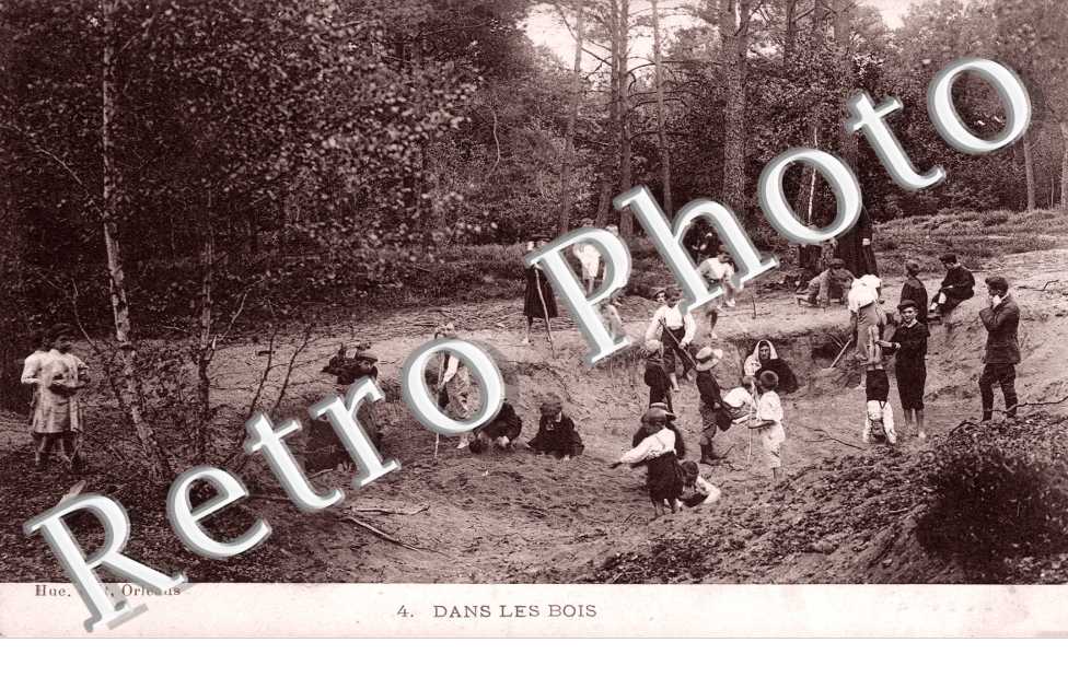 Dans Les Bois