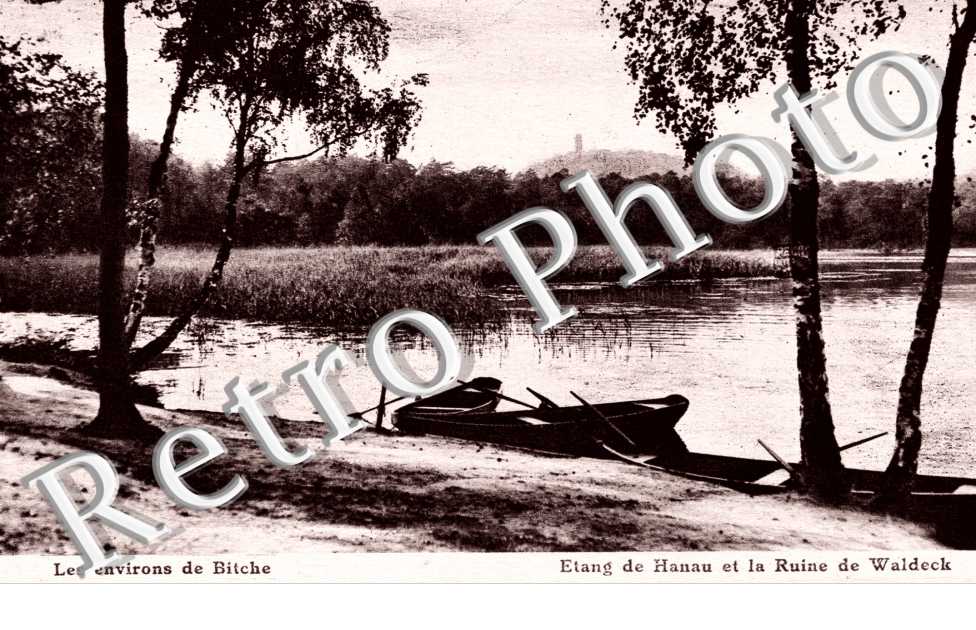 etang de Hanau et la ruine de Waldeck