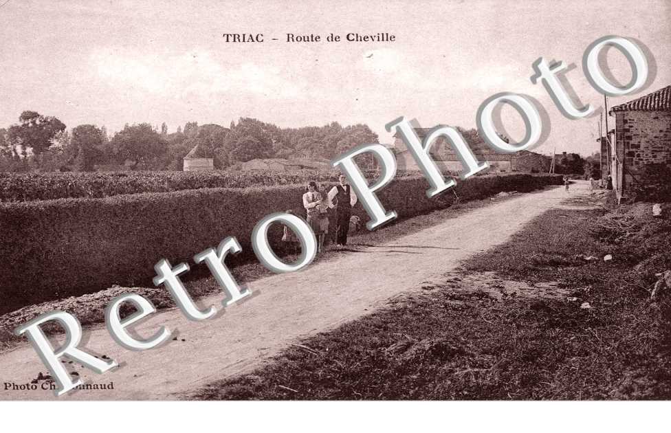 Route de Cheville