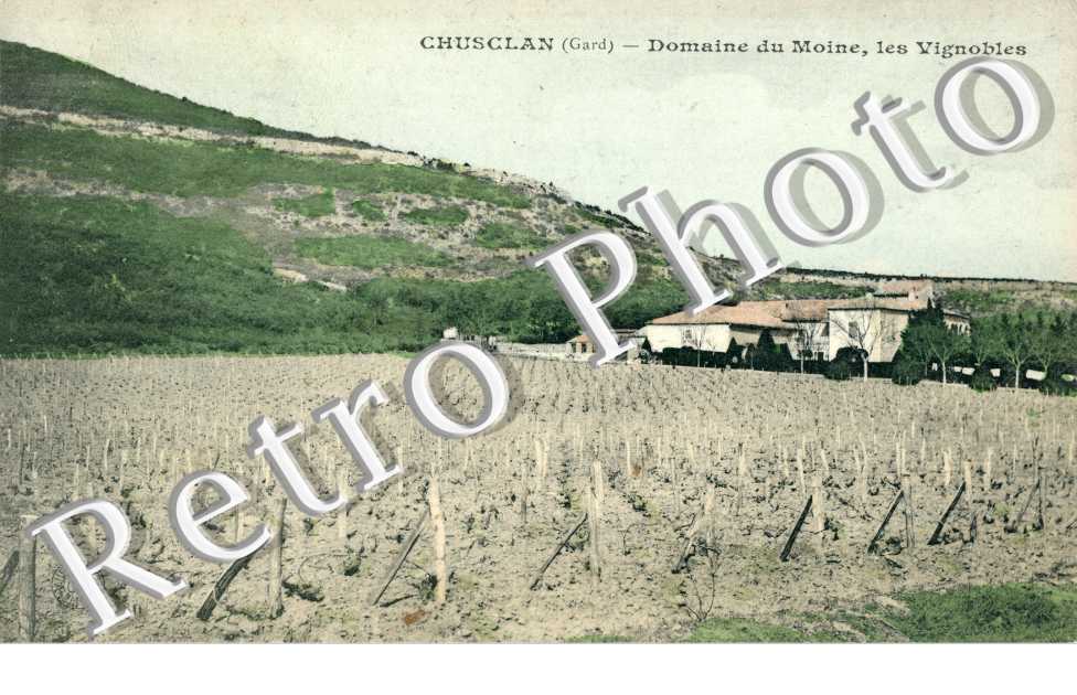 Domaine du Moine, les Vignobles