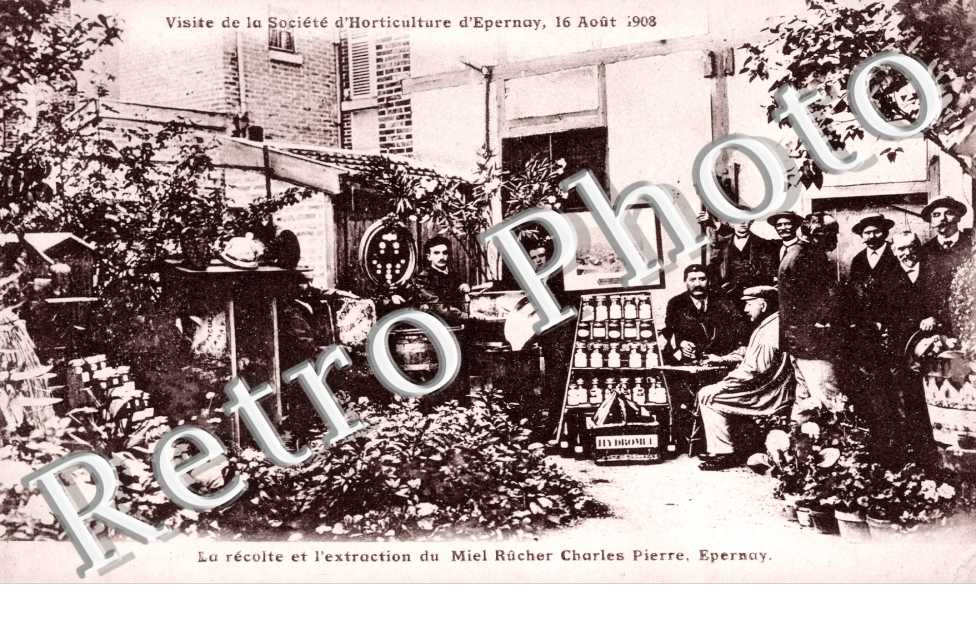 société d&#039;horticulture 16 août 1908 La récolte et l&#039;extraction du miel Rucher Charles Pierre