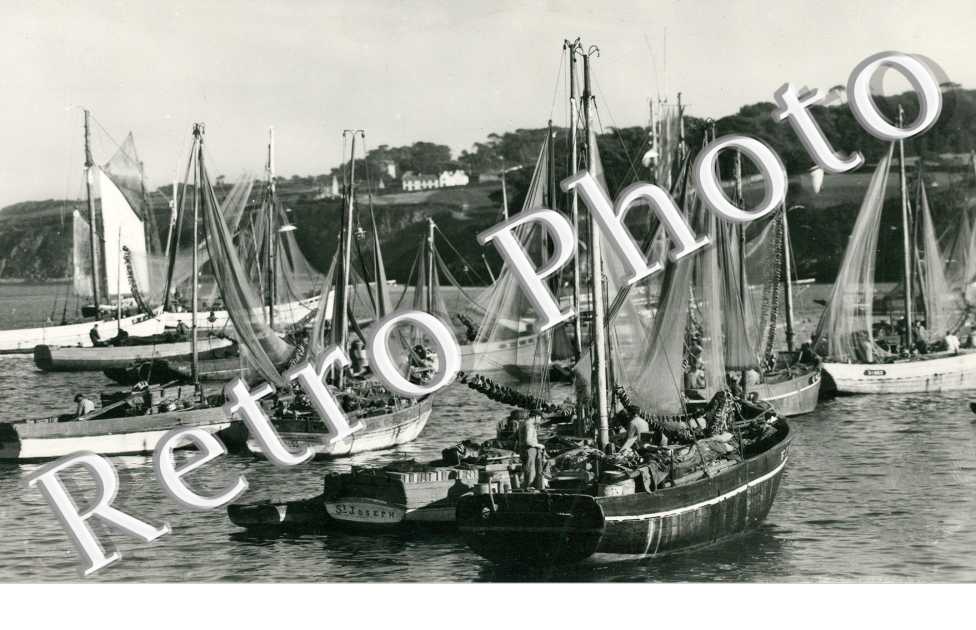 Sardiniers au port