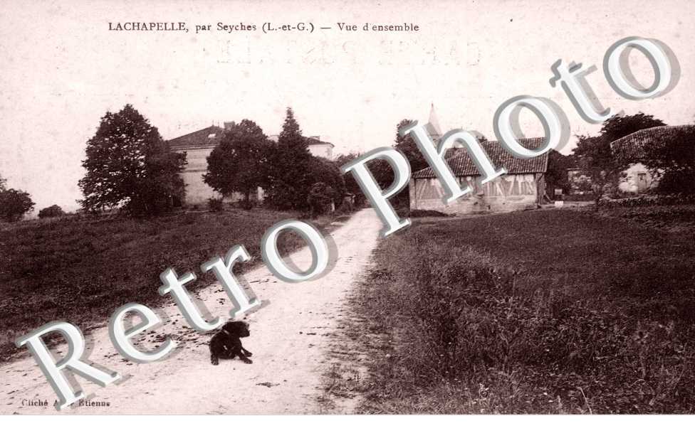 vue d&#039;ensemble