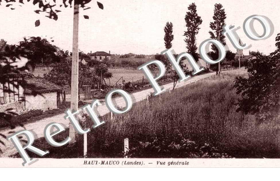 Vue generale
