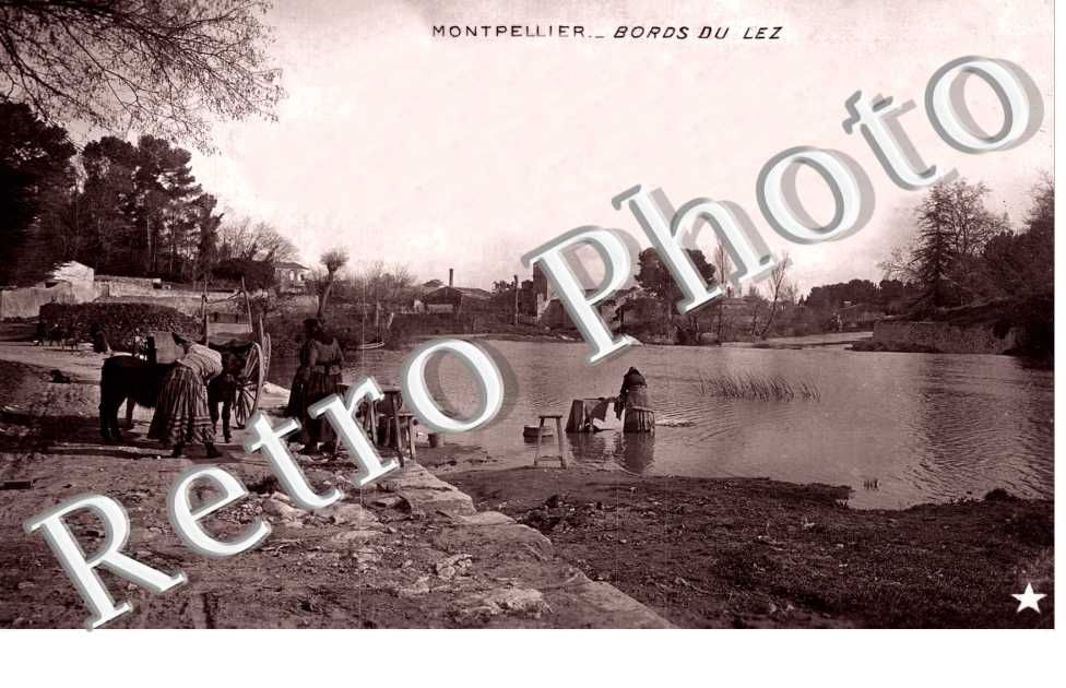 Bords du Lez