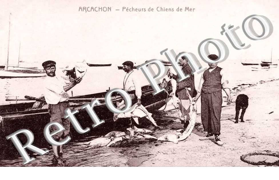 Pecheurs de chiens de mer