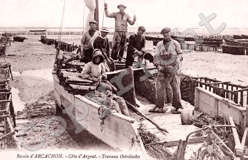 Travaux d&#039;Ostreicoles