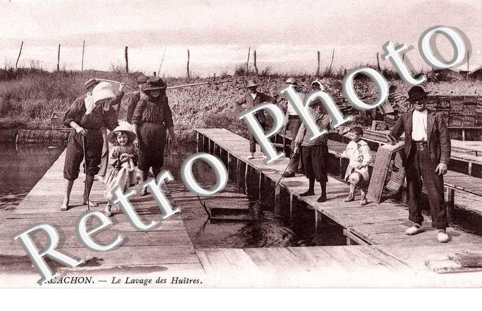 le lavage des huitres