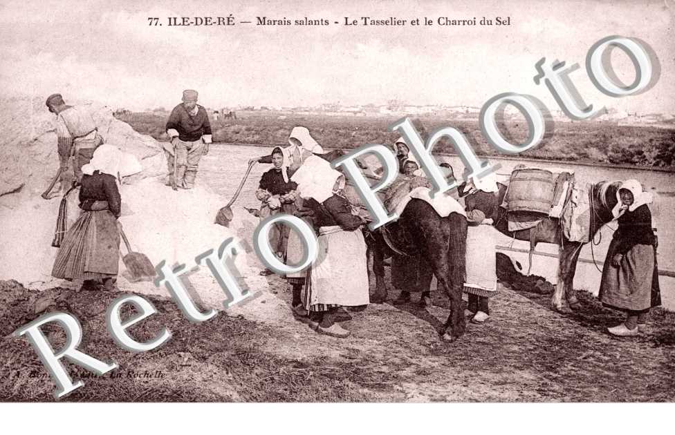 marais salants Le Tasselier et le charroi du sel