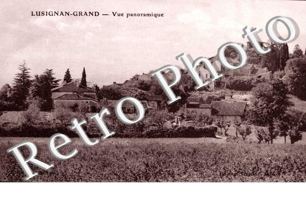 Lusignan le Grand - Vue panoramique