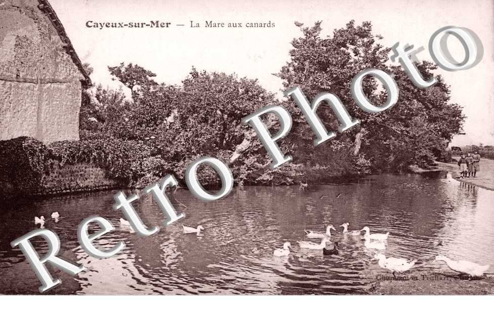 La Mare aux Canards