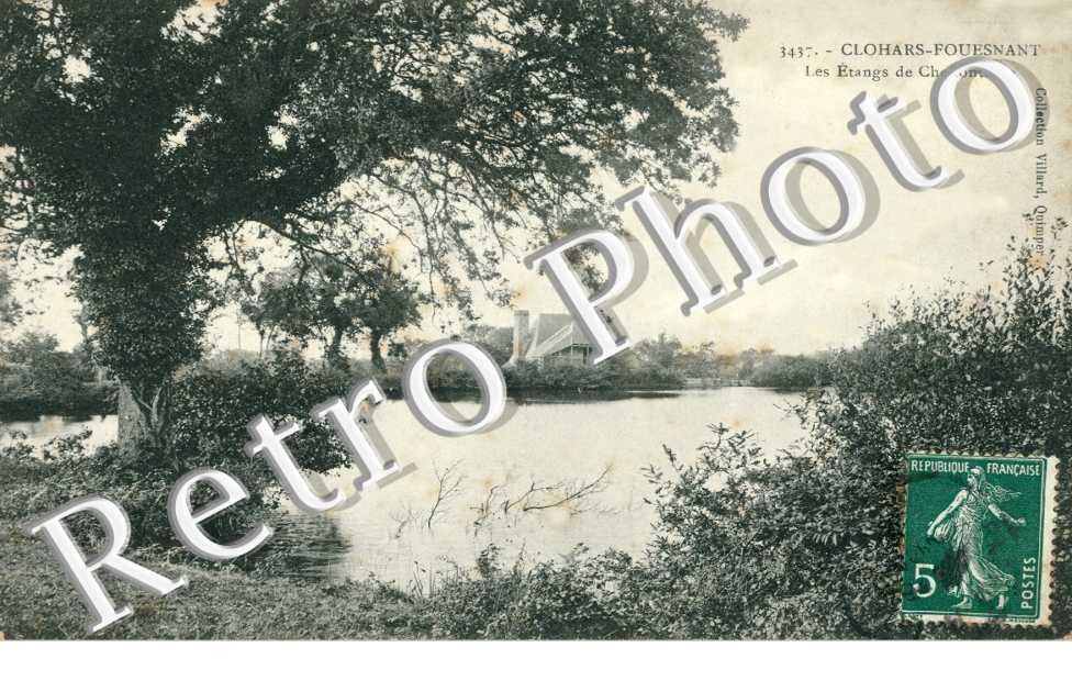Les etangs de Cheffontaine