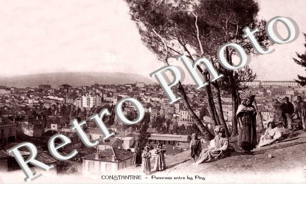 Panorama vu entre les Pins