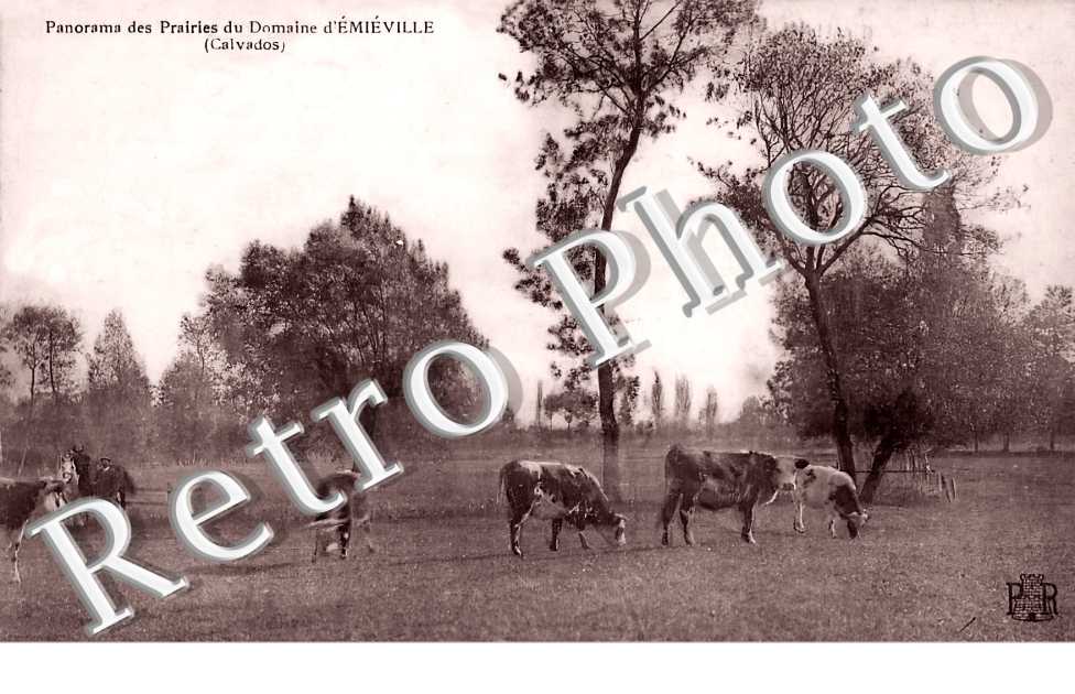 Panorama des Prairies du Domaine d'Emiéville