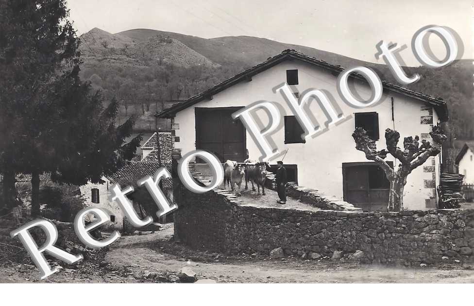 le village