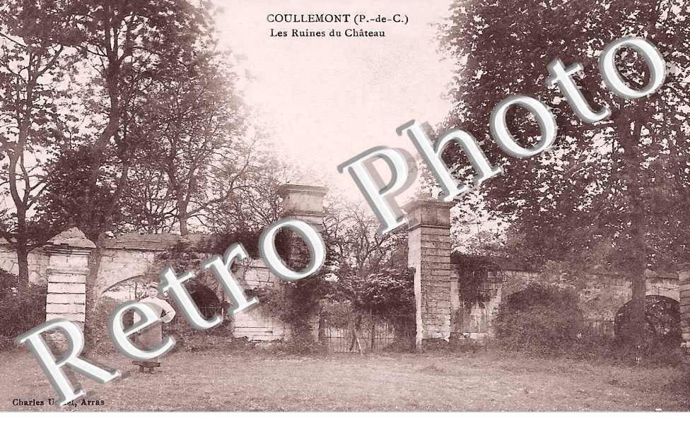 les ruines du chateau