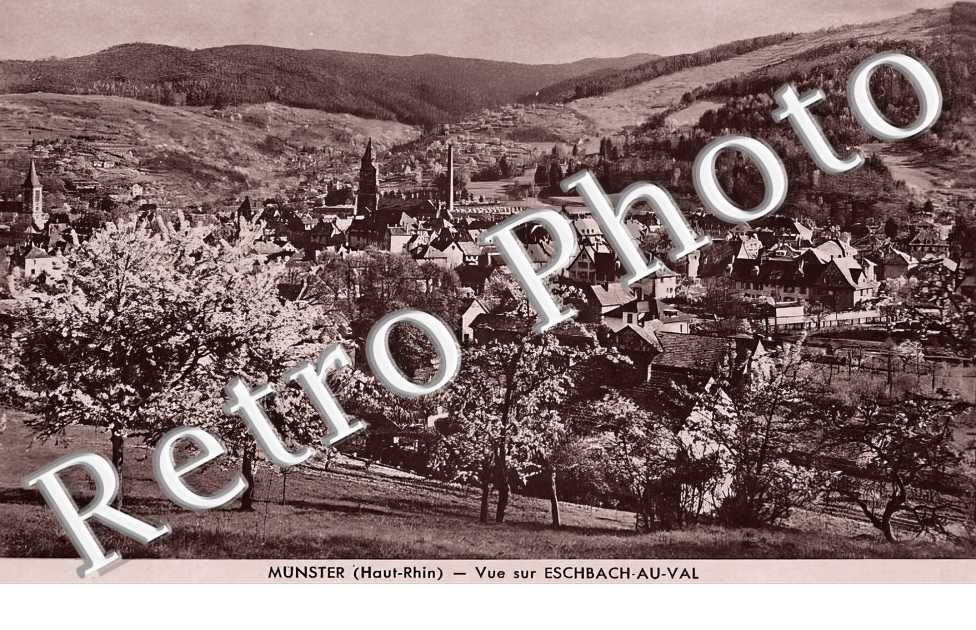 vue générale