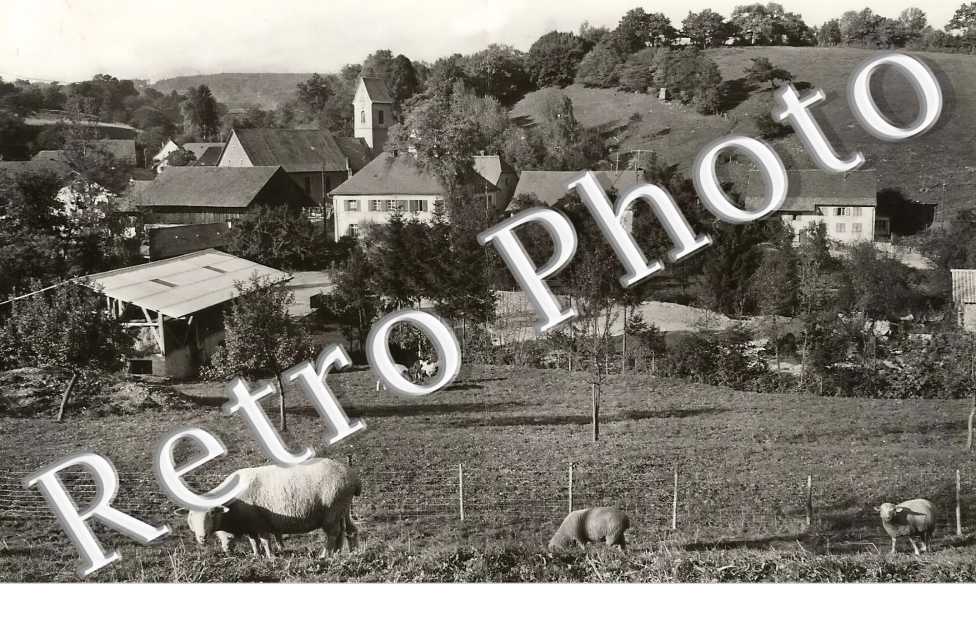 vue générale