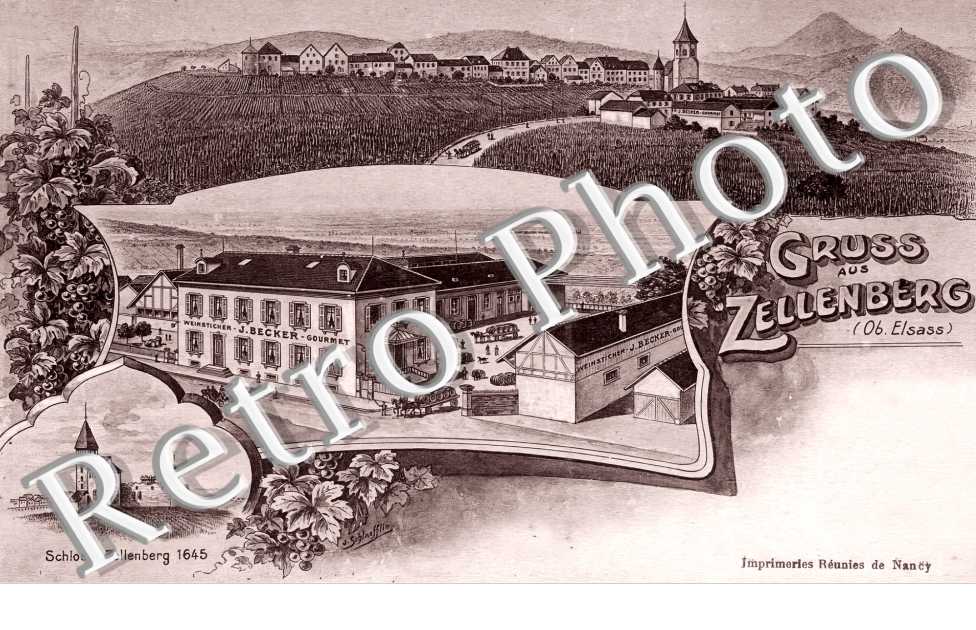vue générale