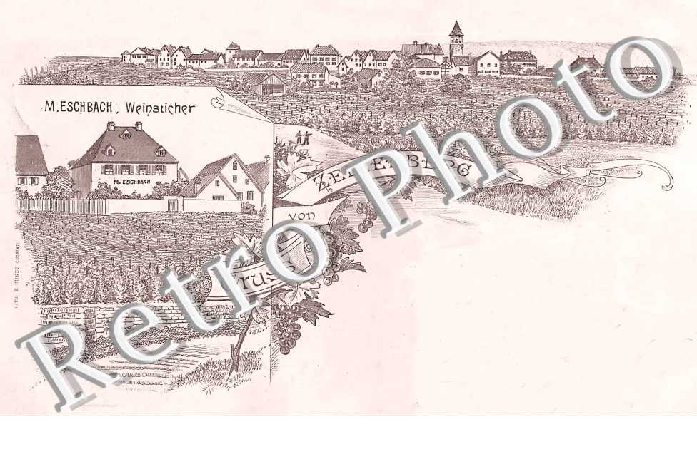 vue générale