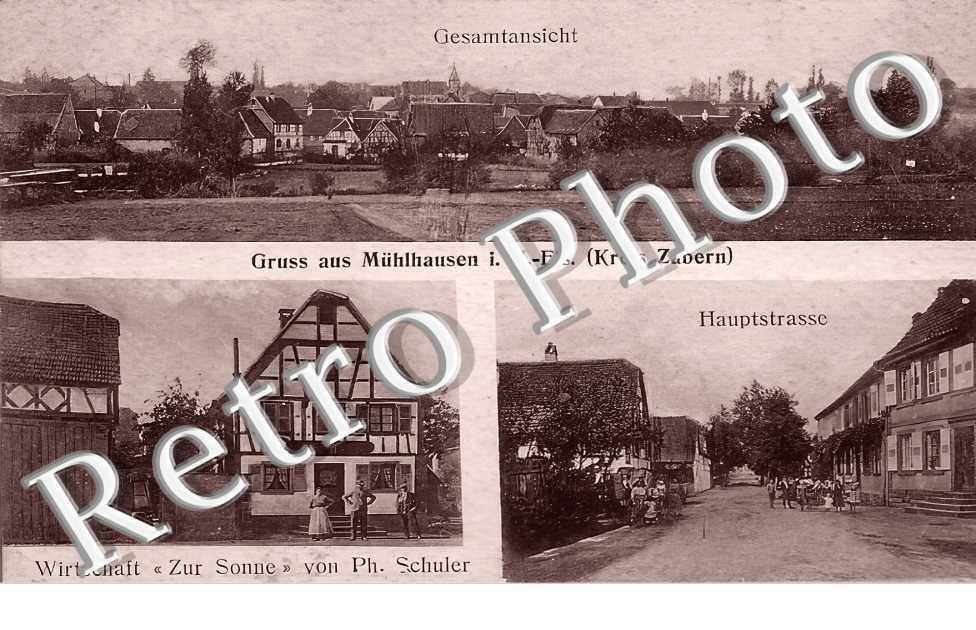 Wirtschaft Ph. Schuler