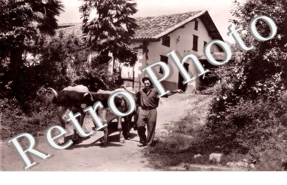 une ferme