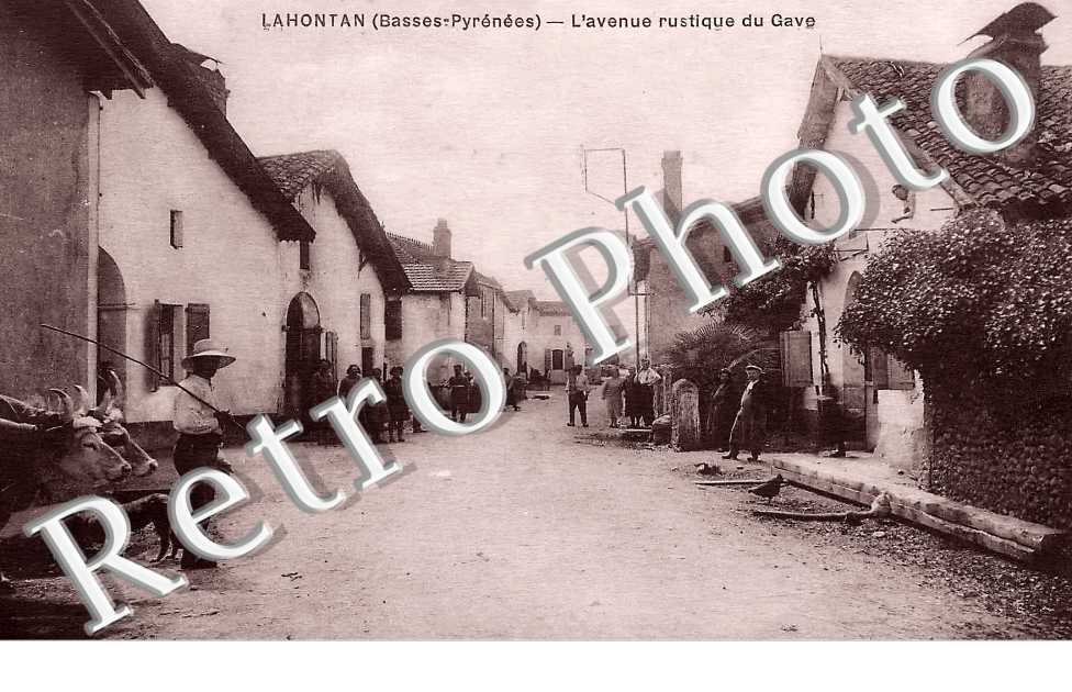 l&#039;avenue rustique du Gave