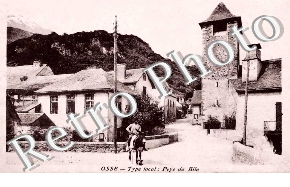 type local : Peye de Bile