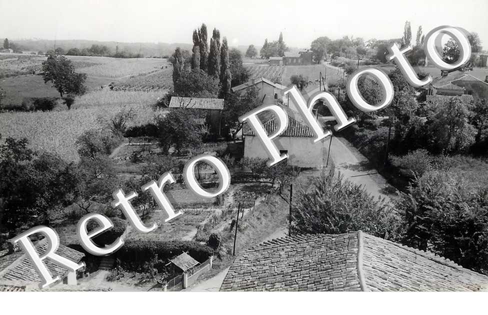 vue générale