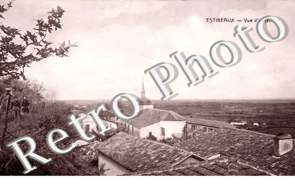 vue d&#039;ensemble