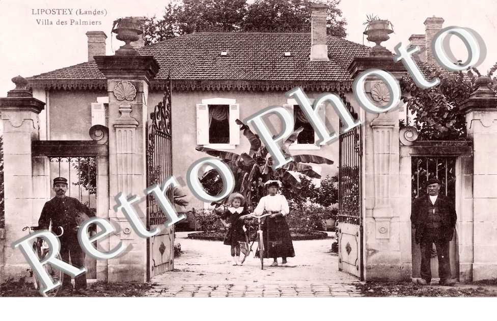villa des Palmiers