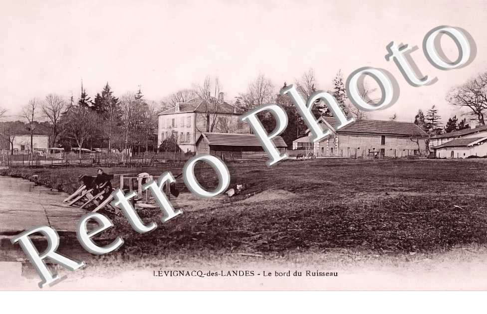 le bord du ruisseau