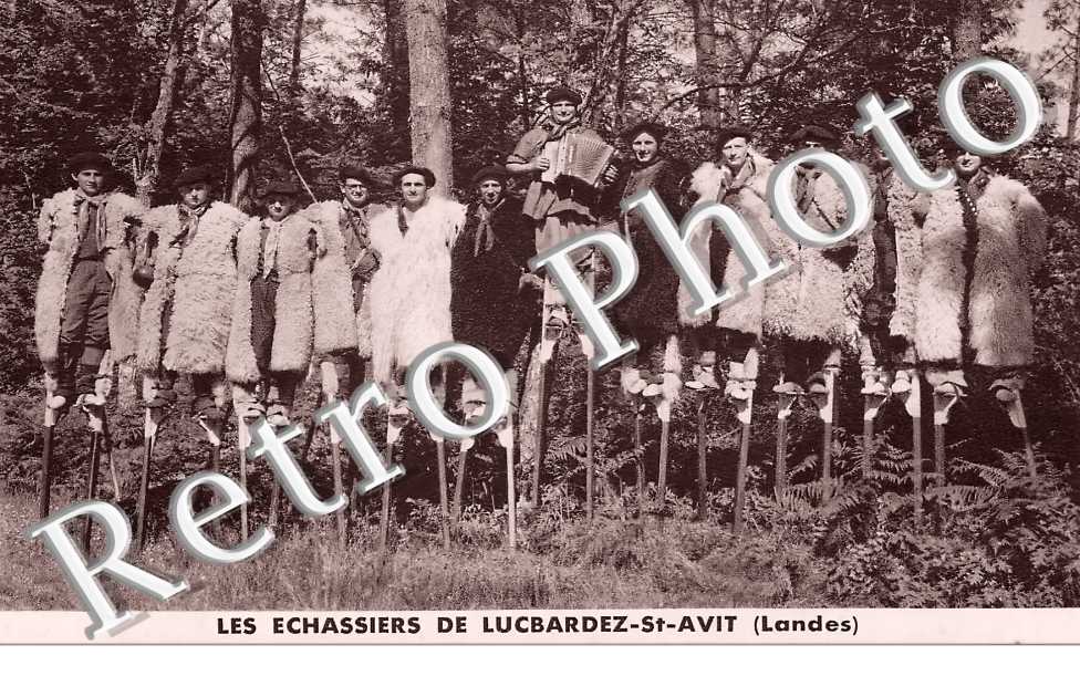 les échassiers