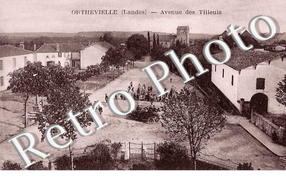 avenue des Tilleuls