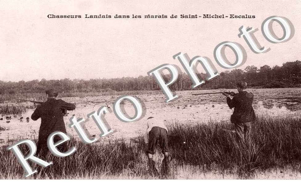 chasseurs landais dans les marais