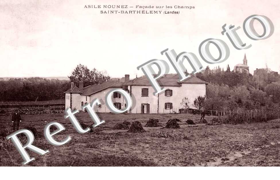 asile Nounez