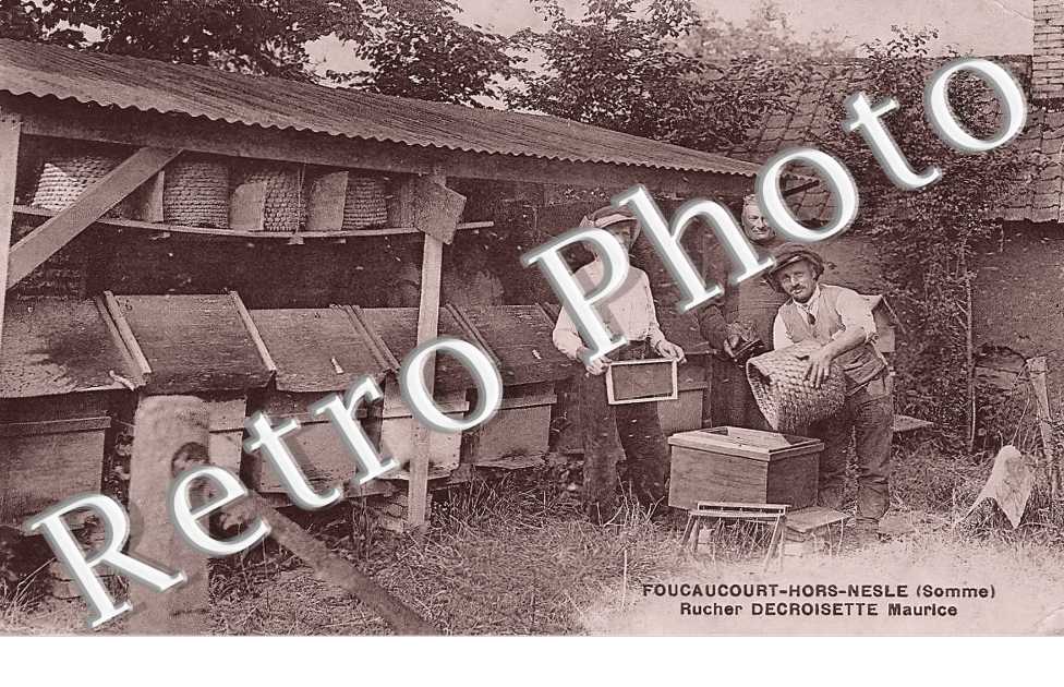 Rucher Decroisette Maurice