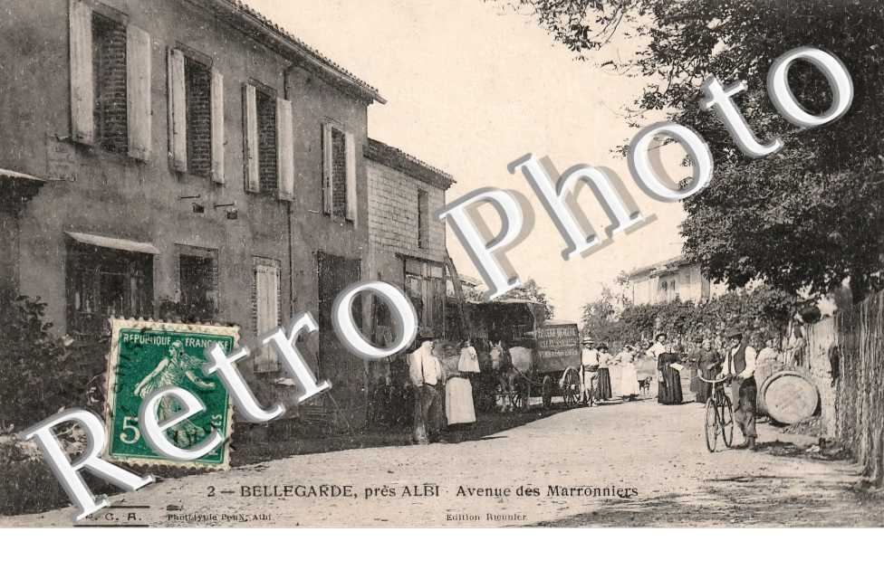 avenue des Marronniers