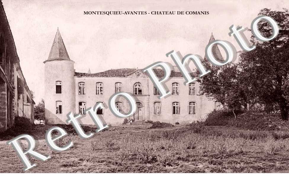 MONTESQUIEU-AVANTES    -    CHATEAU DE COMANIS