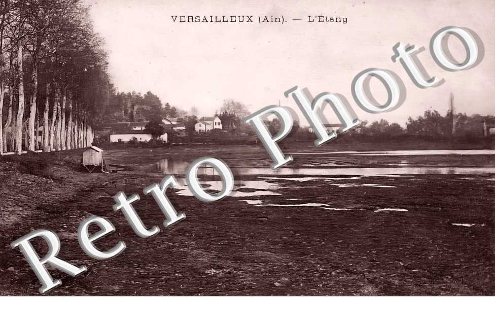 l&#039;étang 
