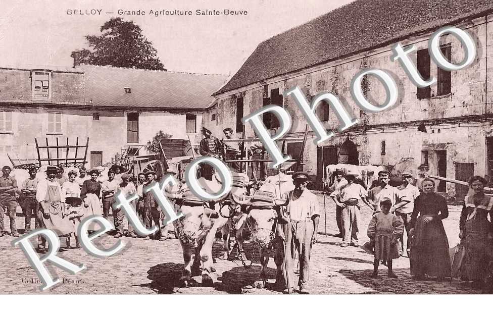 BELLOY  Grande Agriculture Sainte-Beuve