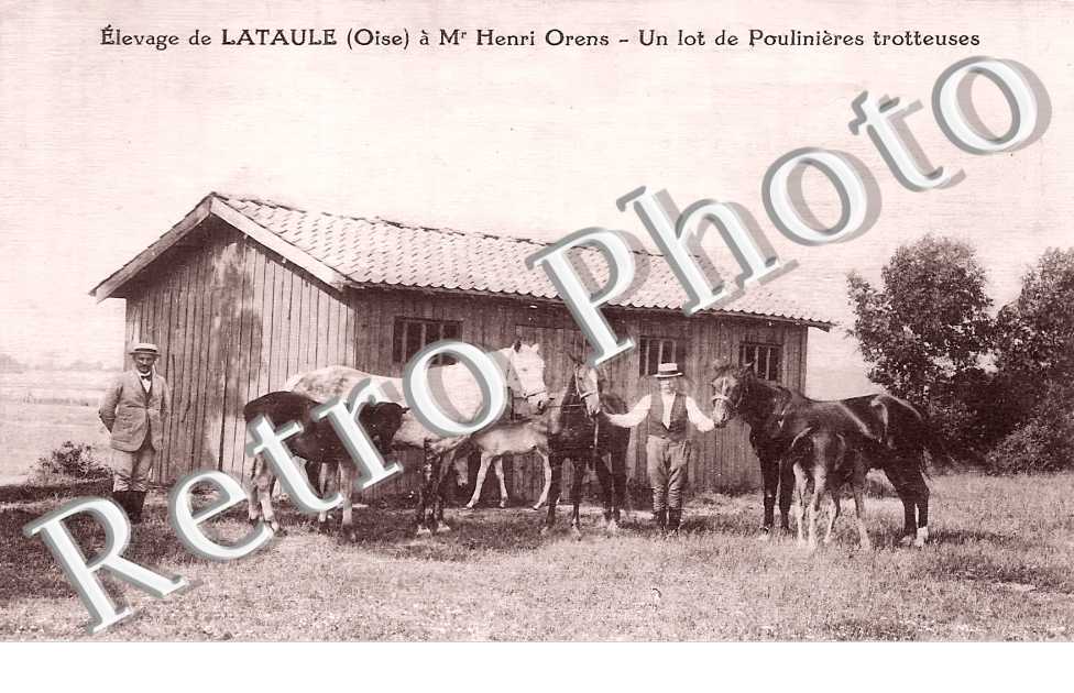 élevage de Lataule à Mr Henri Orens