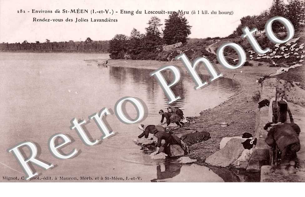 étang. Rendez-vous des jolies lavandières