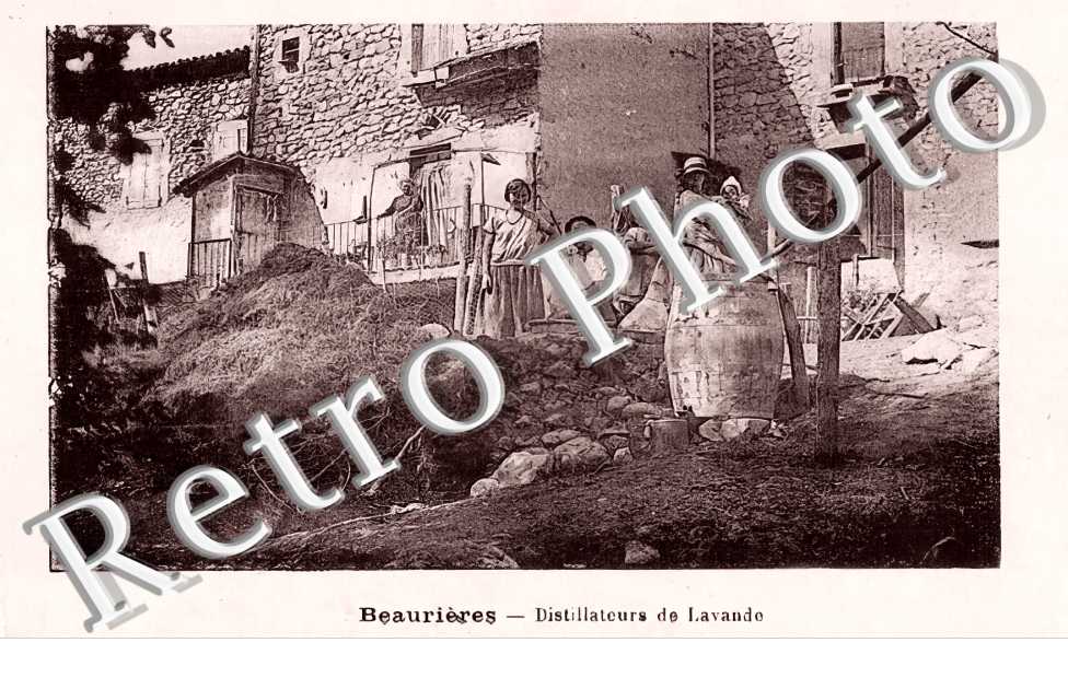 distillateurs de Lavande