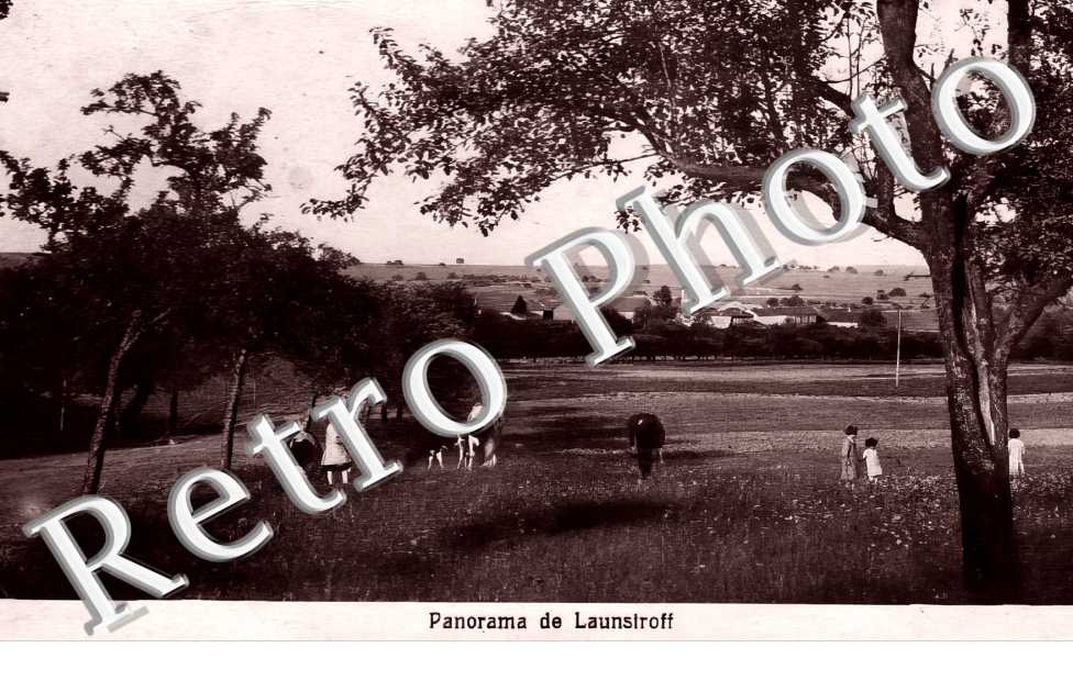 panorama