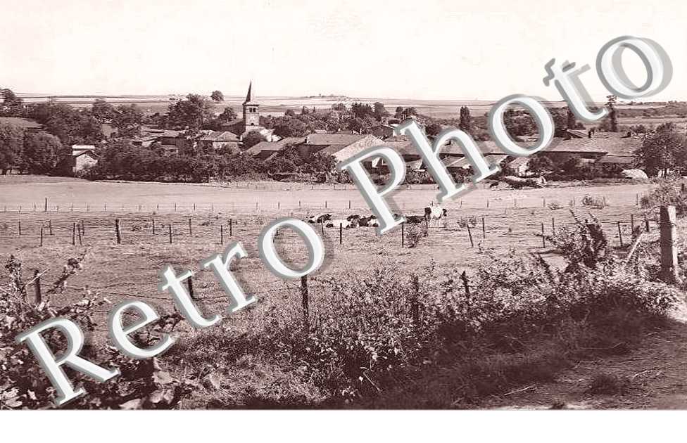 vue générale