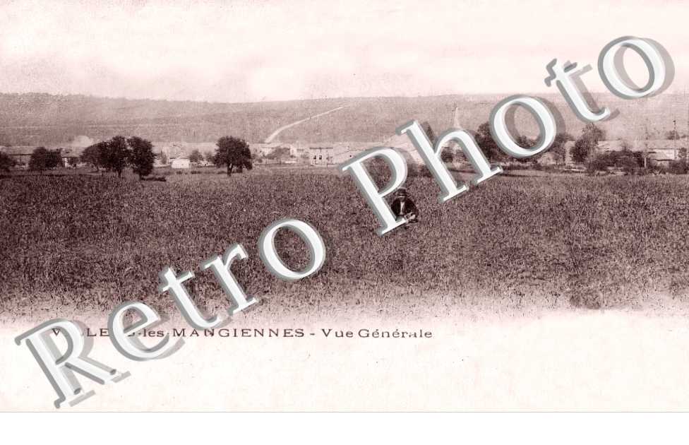 vue générale