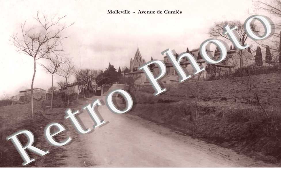 avenue de Cumiès