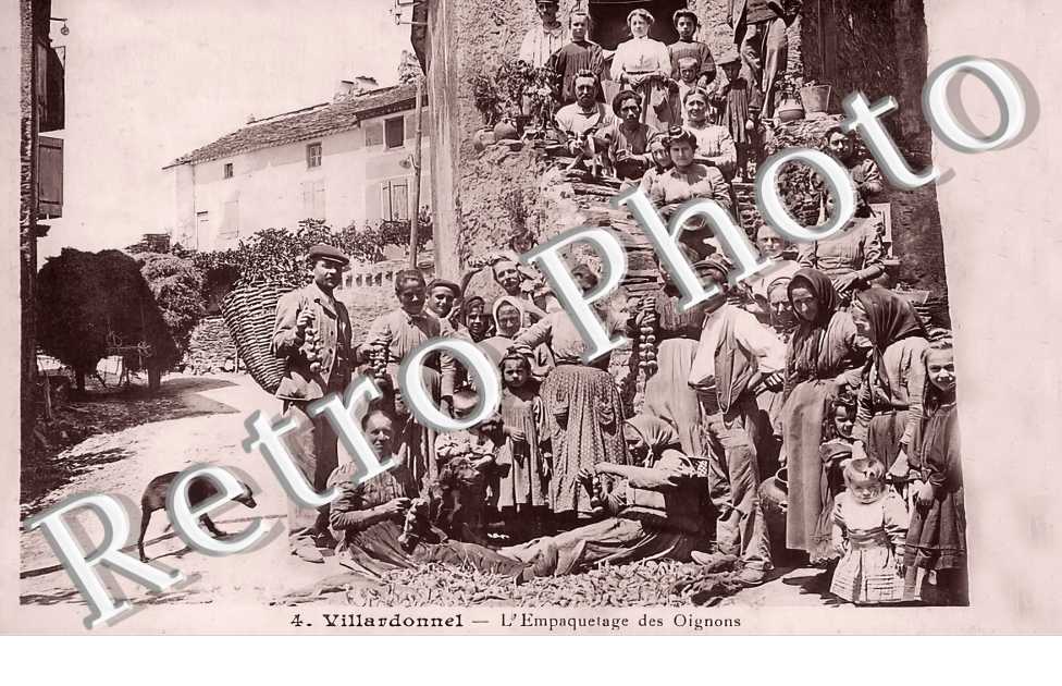 l&#039;empaquetage des oignons